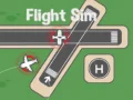 Spil Flysimulator online