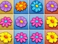 Spil Blomstrende Have Kollision online Spil Blomstrende Have Kollision online