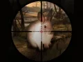 Spil Klassisk Kanin Sniper Jag 2019 online