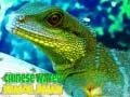 Spil Kinesisk Vand Drage Puslespil online