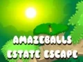 Spil Fantastisk Flugt fra Godset online Spil Fantastisk Flugt fra Godset online