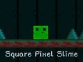 Spil Firkantet Pixel Slim online