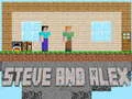 Spil Steve og Alex online