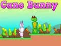 Spil Cano Kanin online