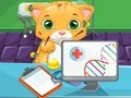 Spil Katte Læge online