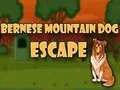Spil Bernese Mountain Dog Flugt online Spil Bernese Mountain Dog Flugt online