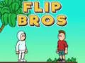 Spil Flip Brødre online