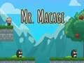 Spil Hr. Macagi online