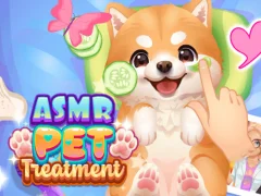 Spil ASMR PET-behandling online