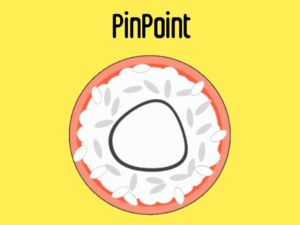 Spil Pinpoint online