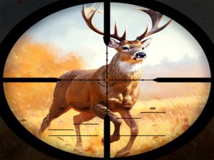 Spil Wild Hunting Clash online