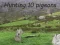 Spil Duejagt online