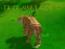 Spil Tiger Simulator 3D online Spil Tiger Simulator 3D online