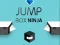 Spil Spring Kasse Ninja online