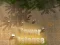 Spil Tower Defense online