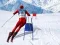 Spil Slalom Skisimulator online