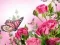 Spil Sommerfuglepuzzle online