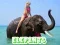 Spil Elefantpuzzle online