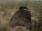 Spil Tankkamp online