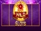 Spil Vild Slot online Spil Vild Slot online