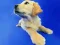 Spil Sjove Katte og Hunde Puslespil online