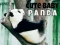 Spil Sød baby panda online