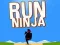 Spil Løb Ninja online