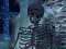 Spil Skeletons Verden - Skjulte Stjerner online