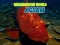 Spil Underwater World Puslespil online