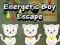 Spil Energisk Dreng Flugt online