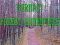 Spil Bernati Skov Eventyr online