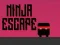 Spil Ninja Flugt online