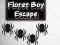 Spil Floret Drengens Flugt online