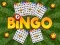 Spil Bingo Afsløret online