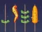 Spil Grillkamp online