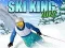 Spil Ski Konge 2022 online