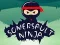 Spil Ninja Rul online