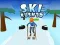 Spil Ski Rush 3D online