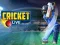 Spil Cricket Live online