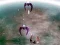 Spil Scape Shotter online