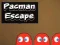 Spil Pacman Flugt online