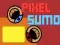 Spil Pixel Sumo online
