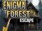 Spil Enigma Skov Flugt online