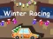 Spil Vinter Racing 2D online