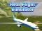 Spil Ægte Flysimulator online