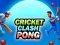 Spil Cricket Clash Pong online Spil Cricket Clash Pong online