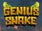 Spil Geni Snake online