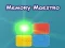 Spil Memory Maestro online