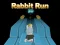 Spil Rabbit Run 3D online