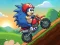 Spil Blue Hedgehog Ride online